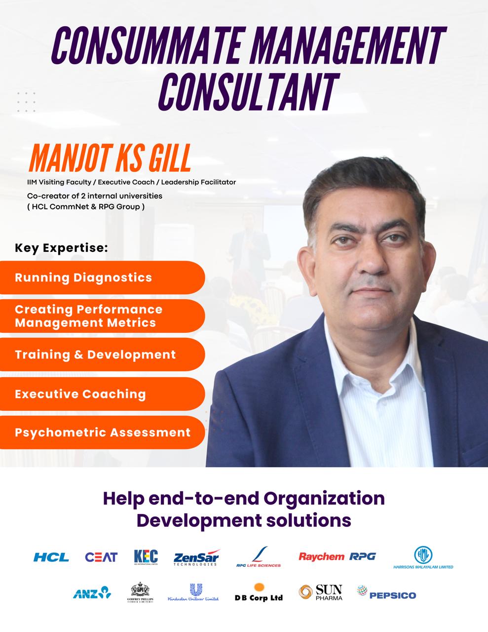 Consummate Management Consultant